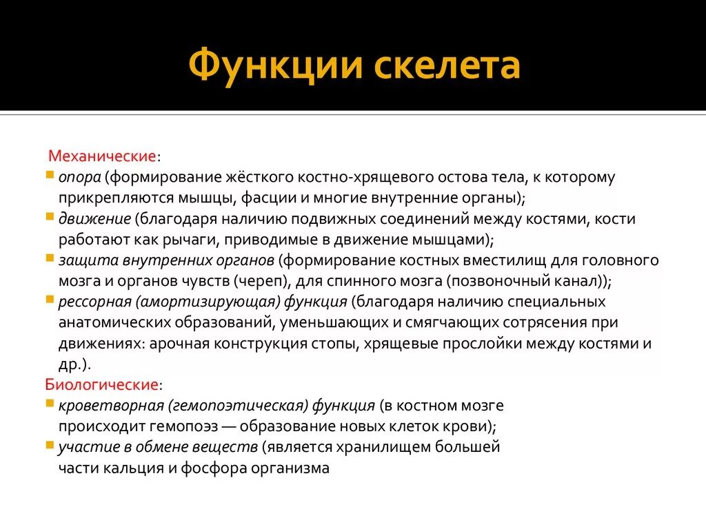 Механической функции скелета человека. Функции скелета. Механические и биологические функции скелета. Функции костного скелета. Функции костей скилетов.