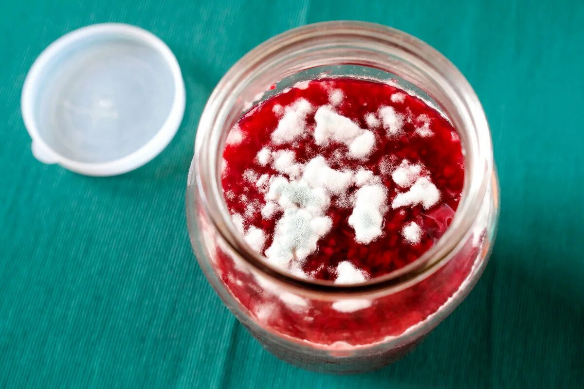 Почему на варенье образуется плесень. Плесень на варенье. Почему на варенье образуется плесень. Почему на варенье образуется плесень. Малиновое варенье плесень.