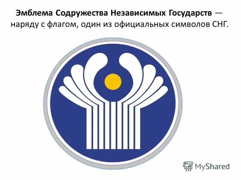 50 снг. Флаг содружества независимых государств. знак снг на авто. каскад содружество логотип. молодежь содружества лого библиотека.