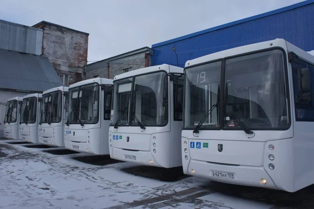 Автобусы на метане в Перми. Новые автобусы в Перми. Автобус города Пермь. ГОРТРАНС Пермь.