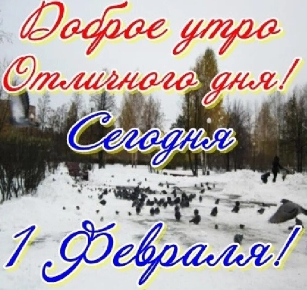 Первое утро февраля картинки. Первое февраля. Открытки с 1 февраля. 1 Fewralya. С первым февраля и добрым.