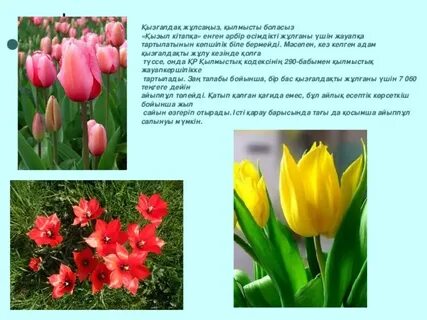 Мисаки мен уси секс