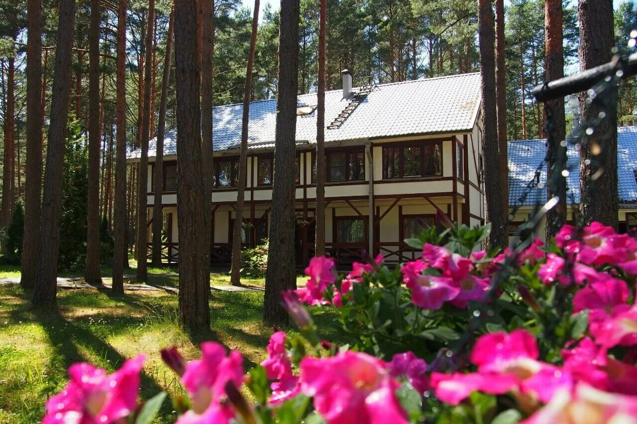 Плесков Псков. Отель Плесков Псковская область. Плесков Псков база. Псковском озеро , отель Плесков,. Базы отдыха псковской области на озере