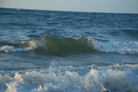 Вода море калининград