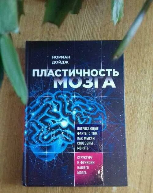 Пластичность мозга. Книги о нейропластичности мозга. Нейропластичность мозга книга. Пластичный мозг