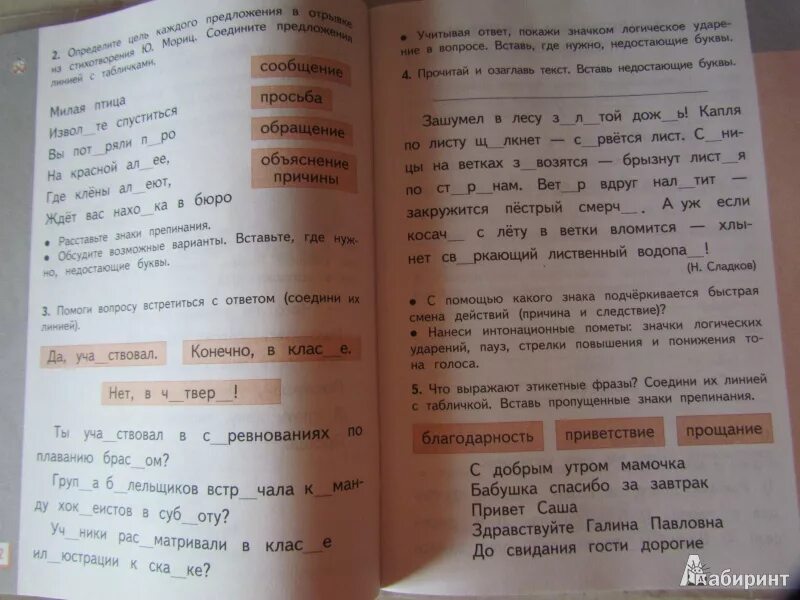 Решебник по русскому языку 3 желтовская калинина. Желтовская 4 класс рабочая тетрадь.. Проверочные работы по русскому языку 3 класса Желтовская. Желтовская. 4 Класс русский язык. Рабочая тетрадь.. Русский язык 2 класс рабочая тетрадь Желтовская Калинина.