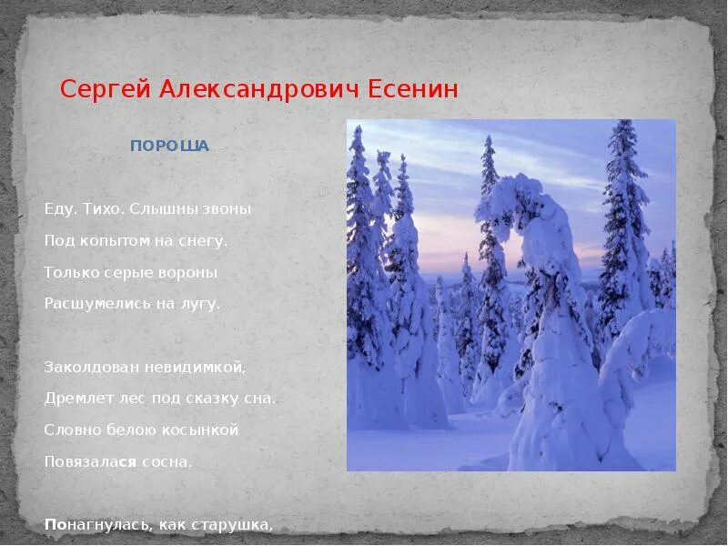 Стихотворение есенина пороша 6 класс. Стихотворение пороша. Стих Есенина пороша. Есенин пороша стих. Иллюстрация к стихотворению Есенина пороша.