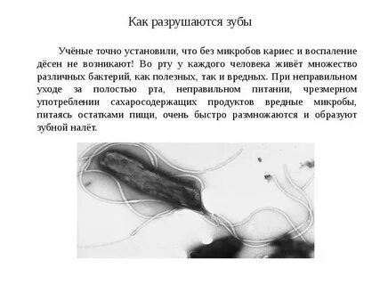 Почему разрушают зубы