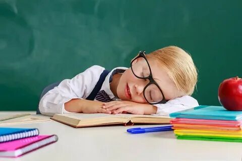 Адаптация в образовании