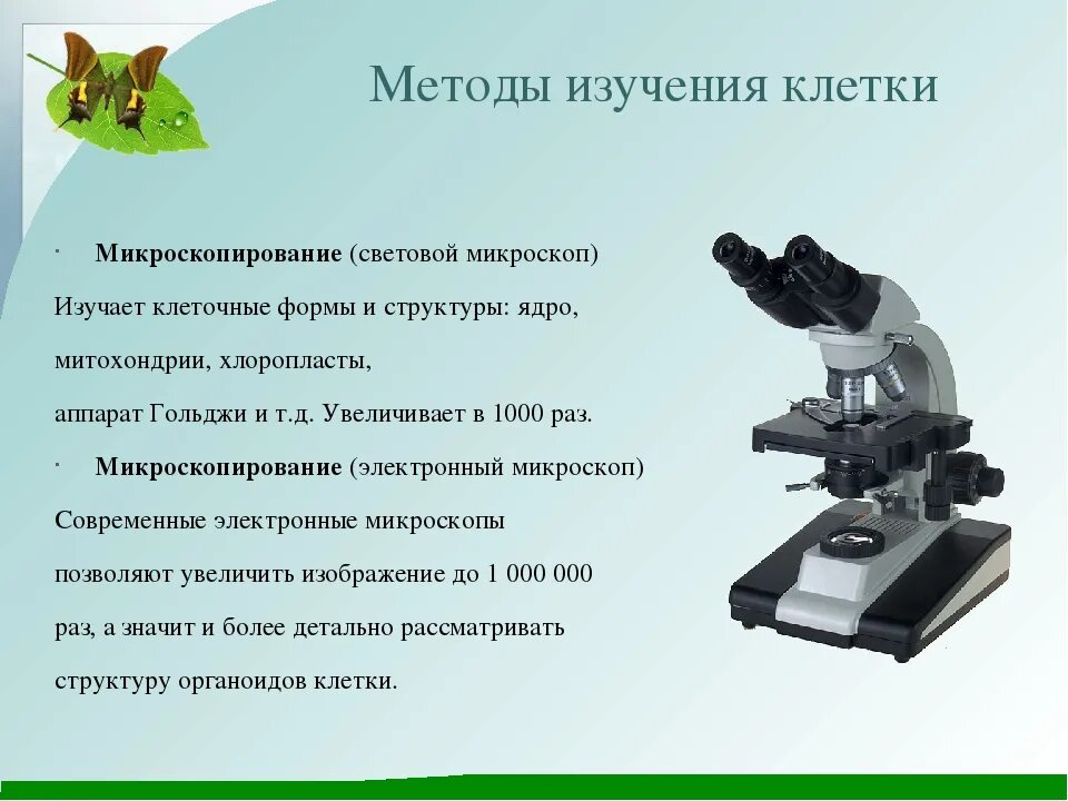 Какие методы используются для исследования клетки. Методы изучения клетки. Современный световой микроскоп. Электронный микроскоп биологический. Современные электронные микроскопы.