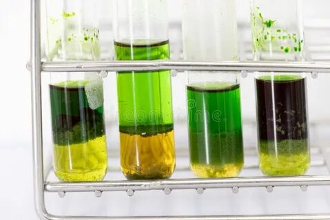 Разделение пигментов из экстракта листьев