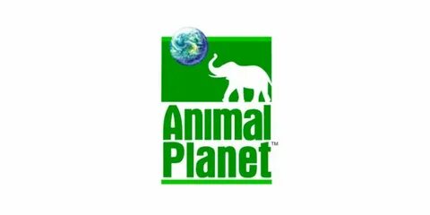 Animal planet