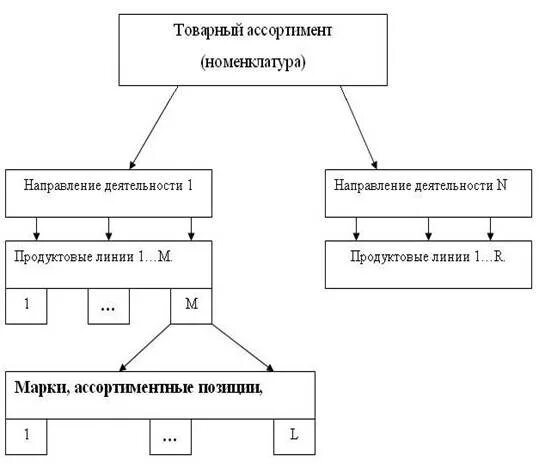 Структура товарного ассортимента. Товарно-ассортиментная структура это. Структура товарного ассортимента фирмы. Структуризация товарного ассортимента. Номенклатура аптечных организаций