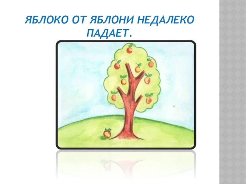 Яблоко от яблоньки недалеко падает. Яблочко от яблони недалеко падает. Пословица яблоко от яблони недалеко падает. Поговорка яблоко от яблони недалеко падает.