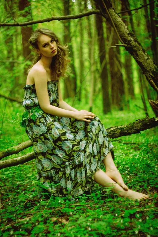 Красавицы леса