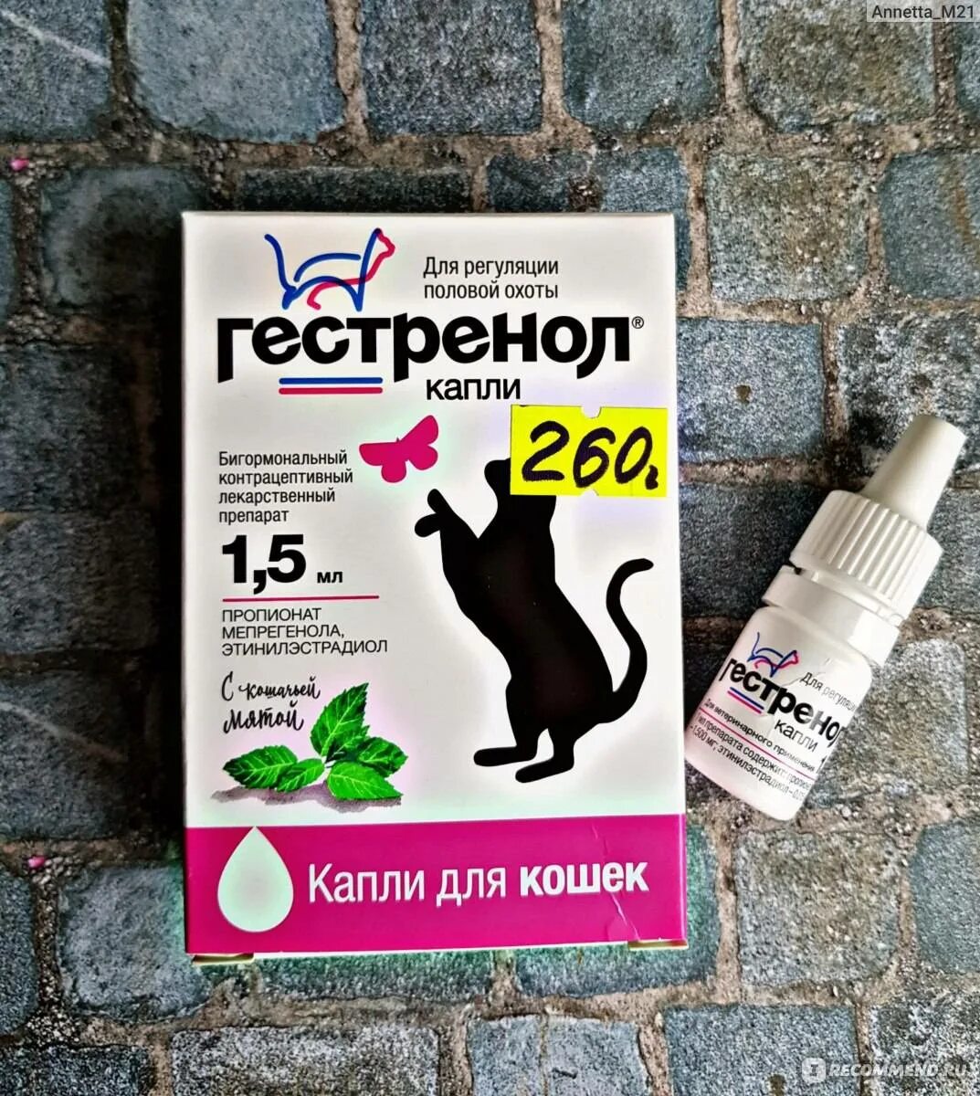 Капли для кошек. Гестренол капли для котов. капли для кошек от половой охоты гестренол. лекарство для котов гестренол. таблетки для кошек от гуляния гестренол.