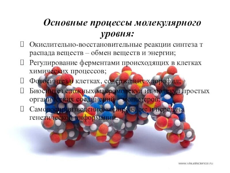 Процессы происходящие на молекулярном уровне жизни