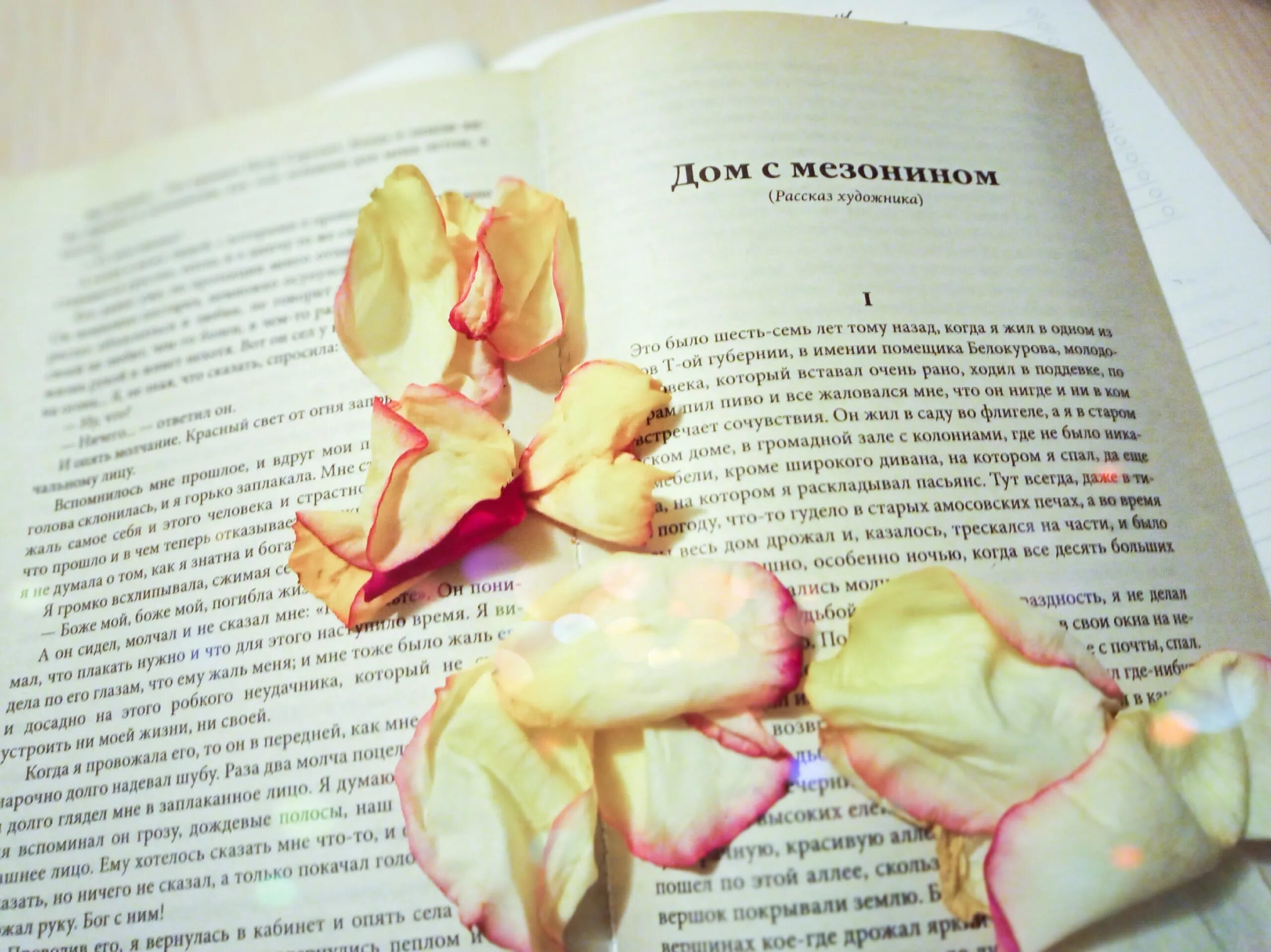 текст песни школьник.