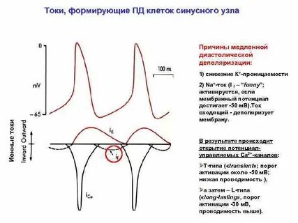 Критический уровень деполяризации клетки