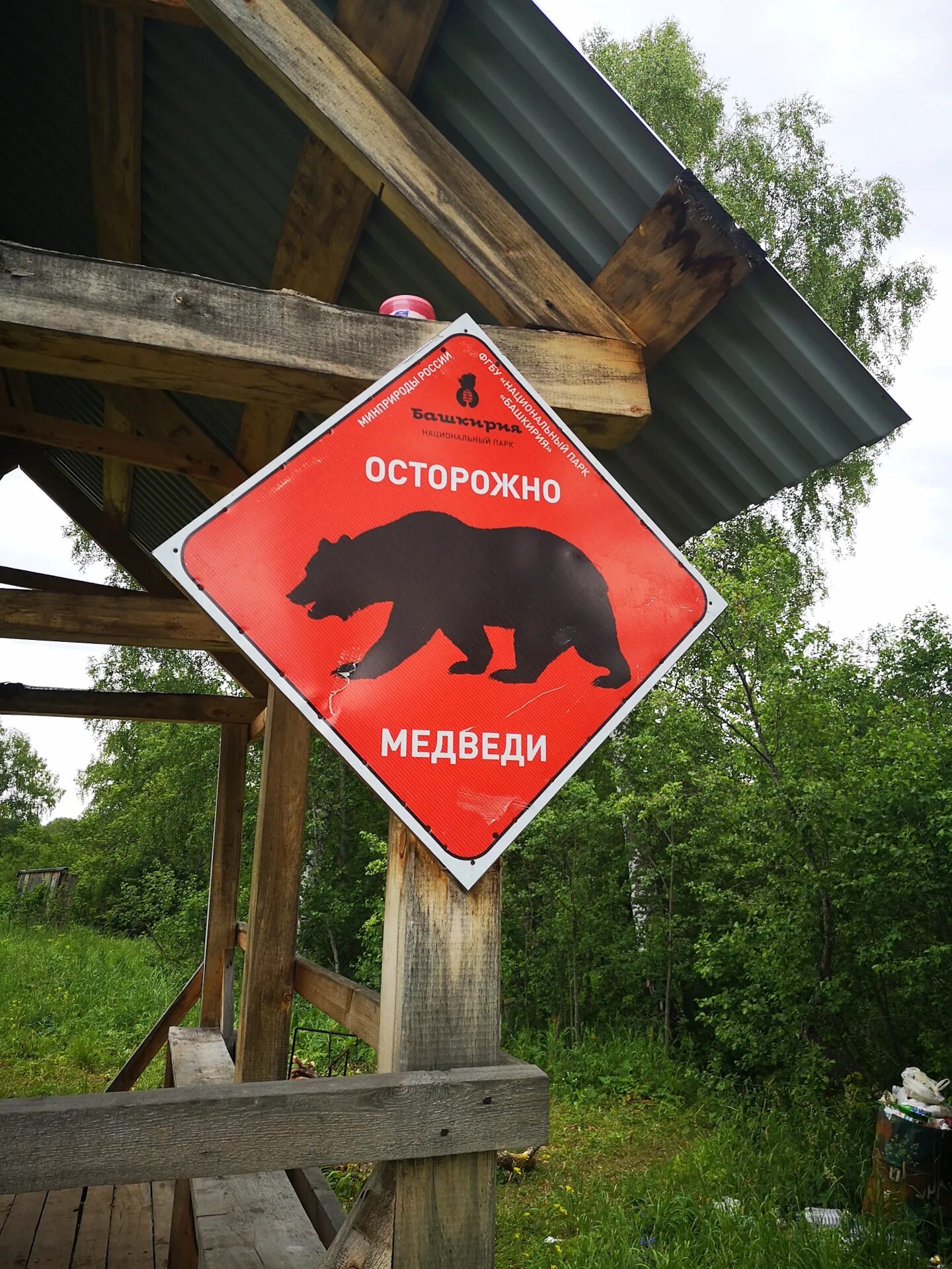 Стрежевой осторожно медведи. Осторожно, медведь!. Осторожно медвежонок осторожно. Медведи на столбах красноярск. Осторожно, медведь!.
