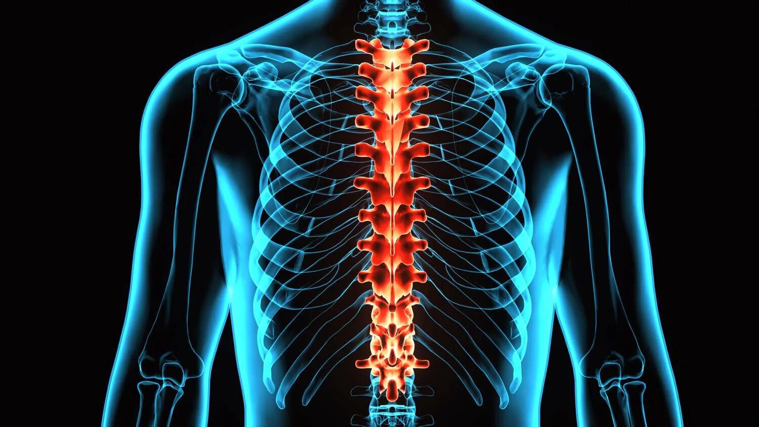 Backbone s