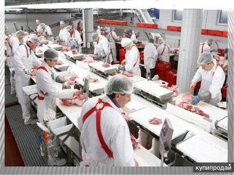 Останкино гагарин мясокомбинат. Ступино-останкино мясоперерабатывающий завод. Упаковщик мясных изделий. Останкинский мясокомбинат останкино. Останкинская телебашня.