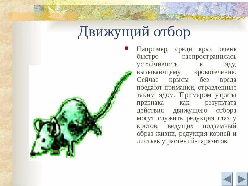 Результатом движущего отбора является. Движущий отбор примеры. крысы движущий отбор. движущий отбор устойчивость к ядохимикатам. примеры движущего естественного отбора.
