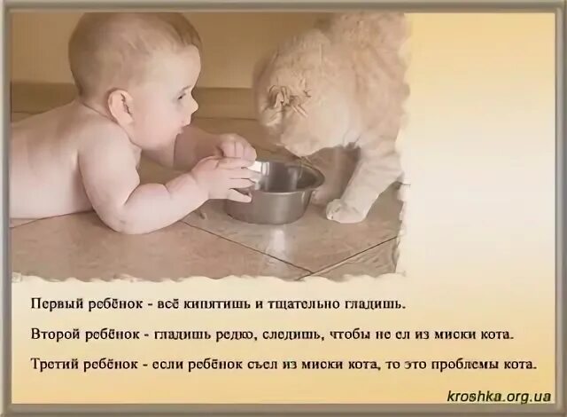 Это проблемы кота. Первый ребенок это. Дети гости в нашей жизни высказывание. Первый ребенок это. Первый ребенок второй ребенок.