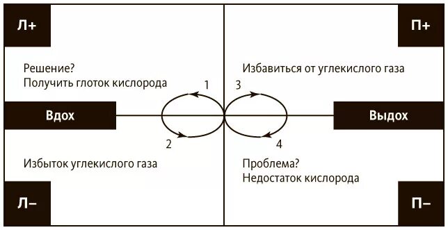 Глоток кислорода. Управление полярностями. Управление полярностями как решать нерешаемые проблемы. Полярности в философии. Что такое полярность в коучинге.