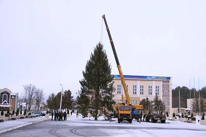 рогачев белоруссия. площадь рогачева. площадь рогачева. город рогачев сквер. площадь рогачева.