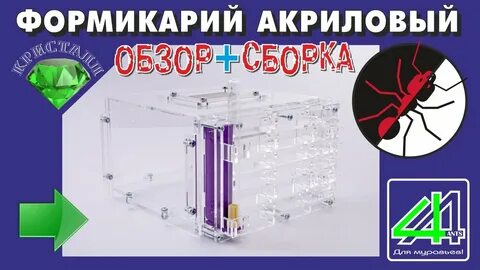 Сборка плюс