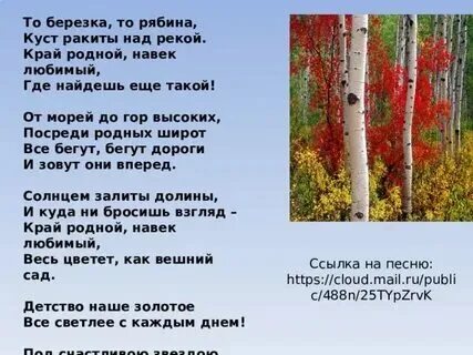 Куст розы текст