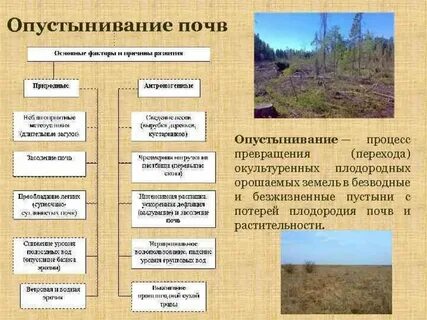 Виды загрязнений арктическое опустынивание европа таблица