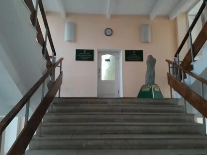 Институт истории литературы