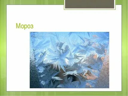 Слова образованные от слова мороз