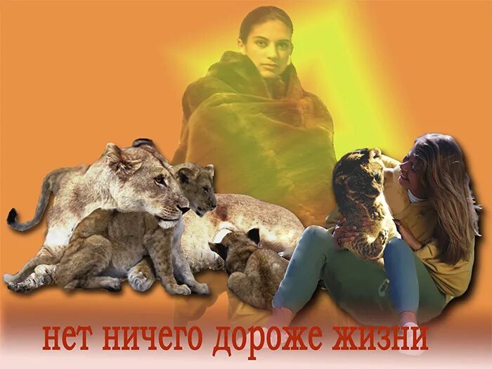 Сохрани жизнь животным. Природа и животные экология. Плакат с ладонями. Планета животных. Постеры о вегетарианстве.