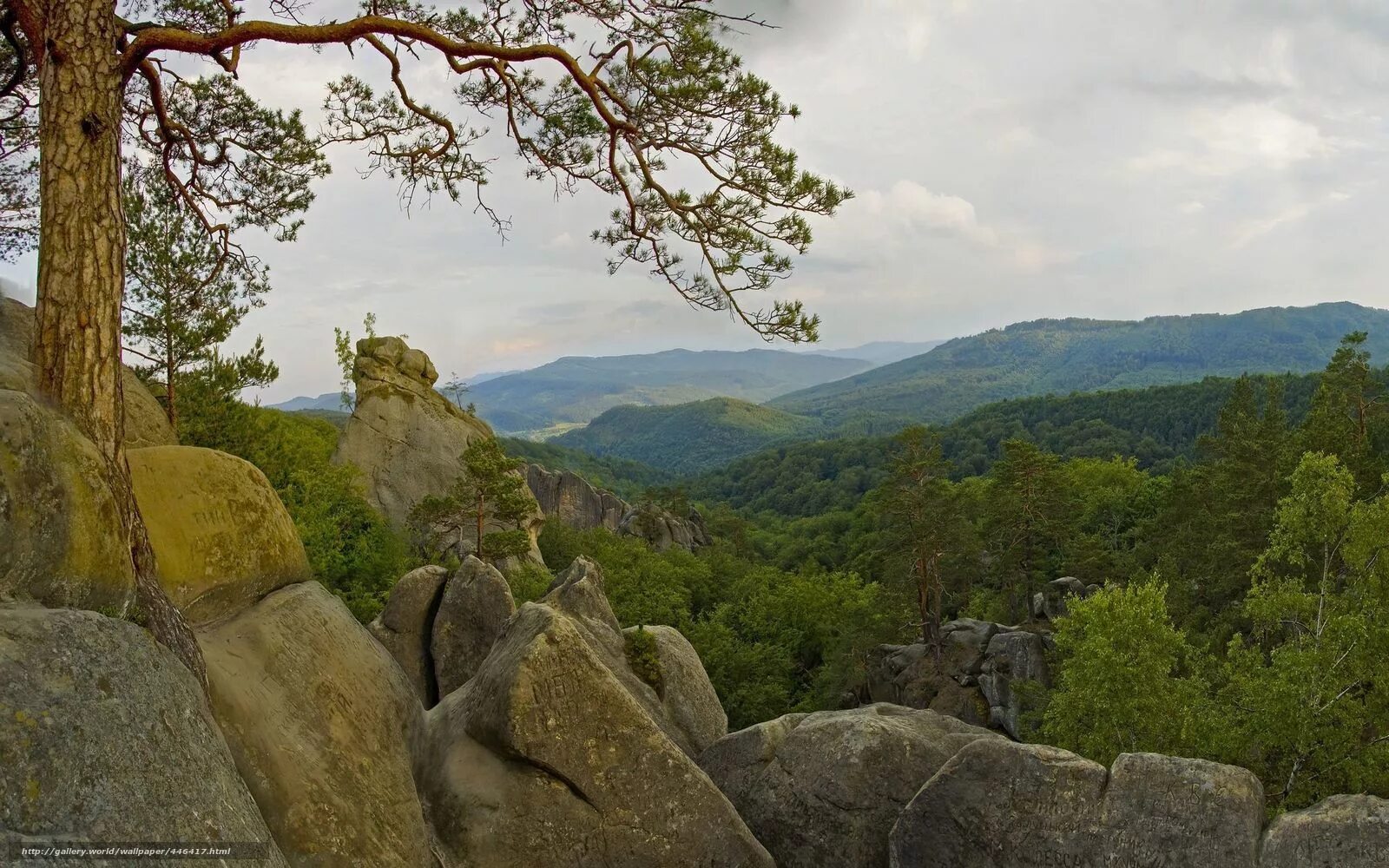 Вэлли юар. Тарков лес восточные скалы. Восточные скалы лес. Скала три брата бурятия. Три брата скалы новоалександровск.