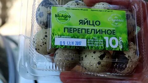 Срок хранения сырых перепелиных яиц