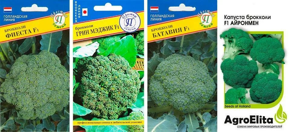 Капуста сорт фиеста. Капуста брокколи грин мэджик. капуста брокколи фиеста f1. семена капуста брокколи фиестf1. грин мейджик капуста брокколи.