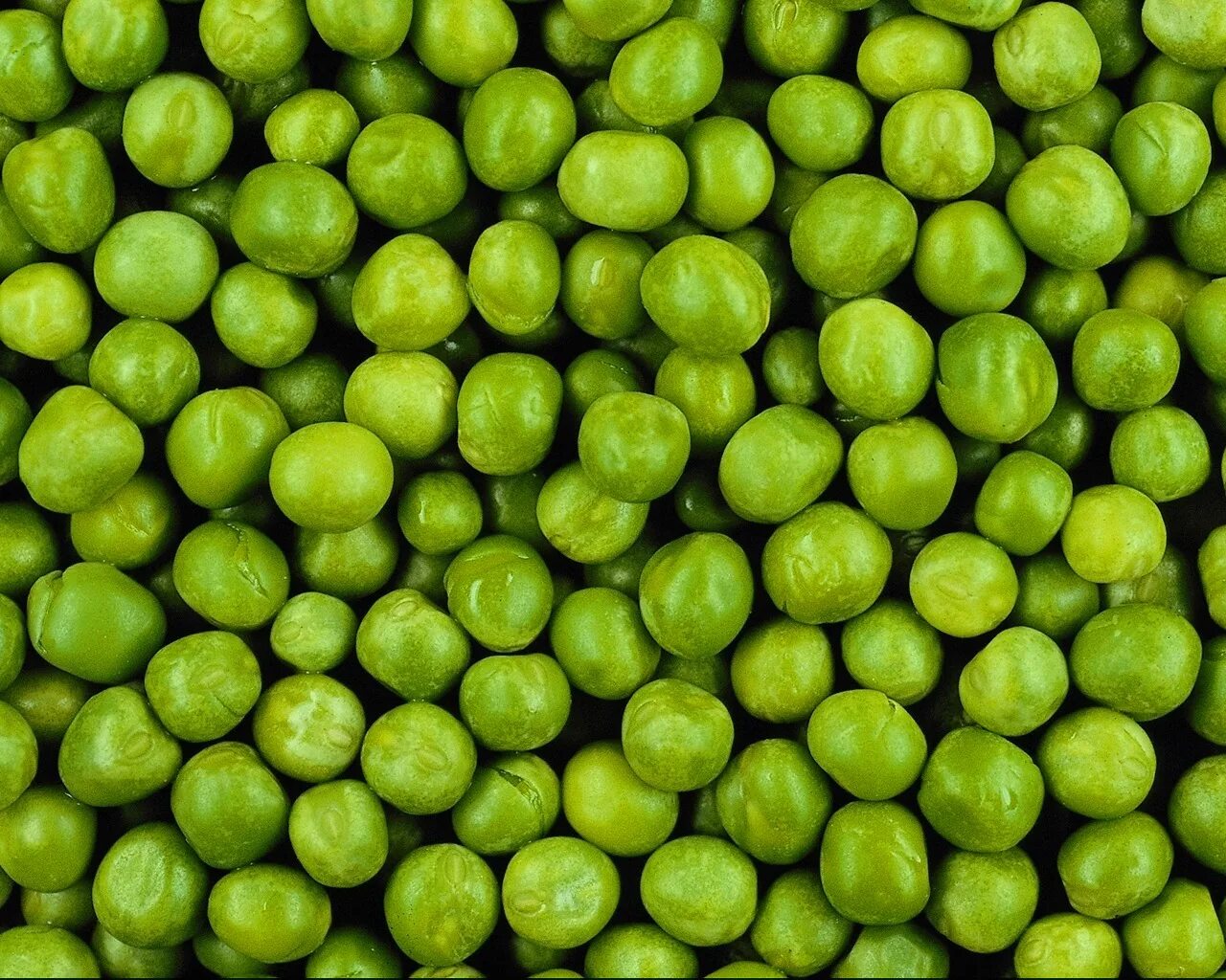 Кук нухат. Зелёный горошек свежий. Горошек консервированный на тарелке. Зелёный горошек. Зеленый горох в стручках.