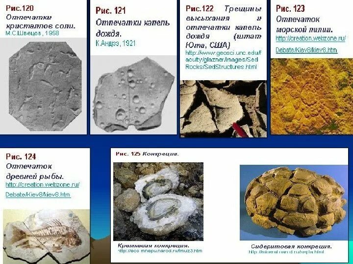 Происхождение горных пород таблица 5 класс