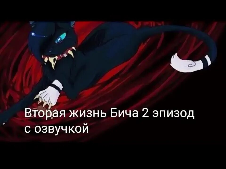 Жизнь бича. Жизнь бича в 2 словах. бич по жизни. клип восстань бич.