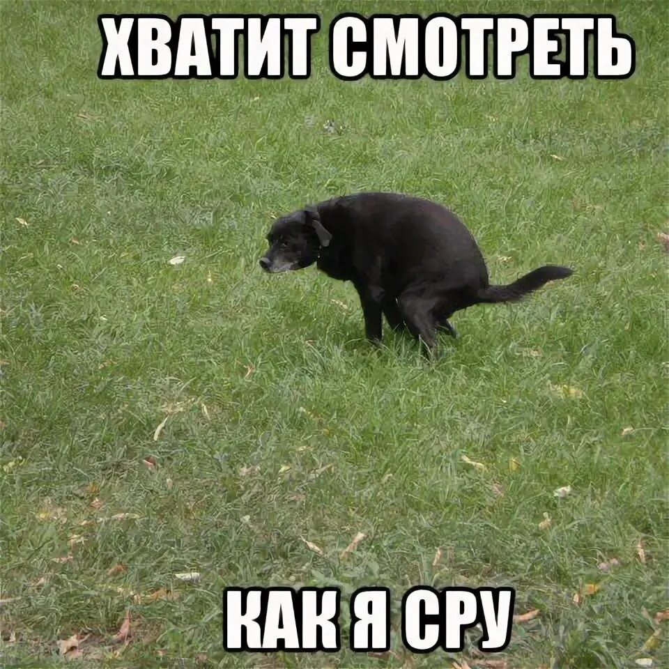 Ну через раз