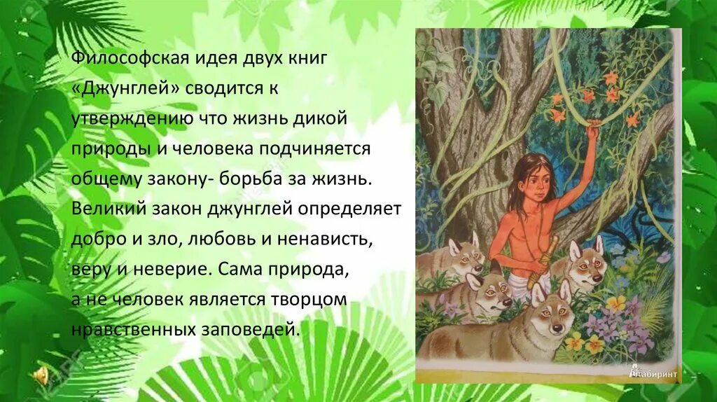 Читать книгу закон джунглей 8. Закон джунглей киплинг. по закону джунглей. законы джунглей по книге маугли. закон джунглей из книги джунглей.