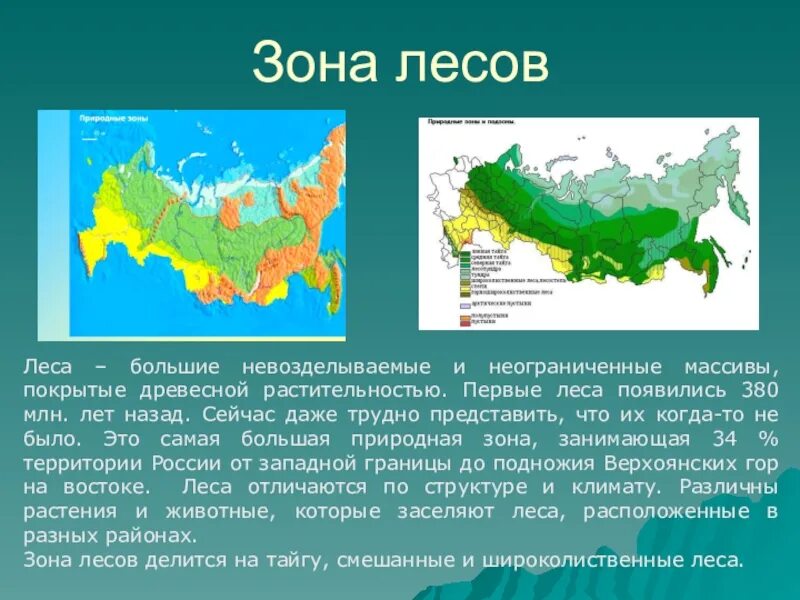 Доклад по окружаемому миру 4 класс