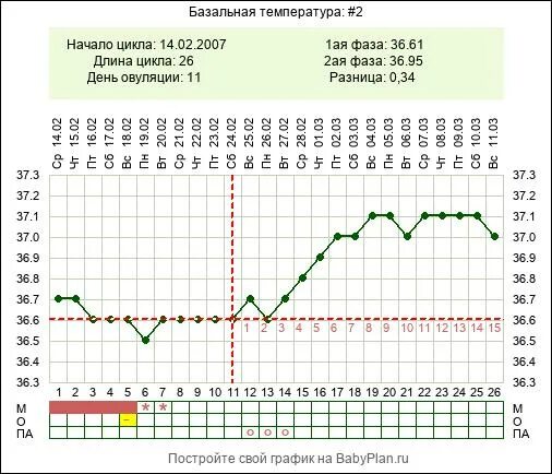 Программа бт 3 на сегодня