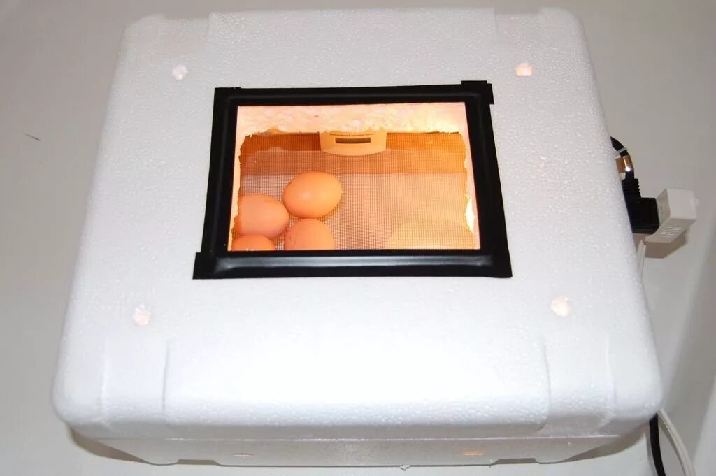 Самодельный инкубатор для яиц. Инкубатор из пеноплекса. Blum инкубатор. Инкубатор пенопластовый. Инкубатор для яиц из пенопласта.