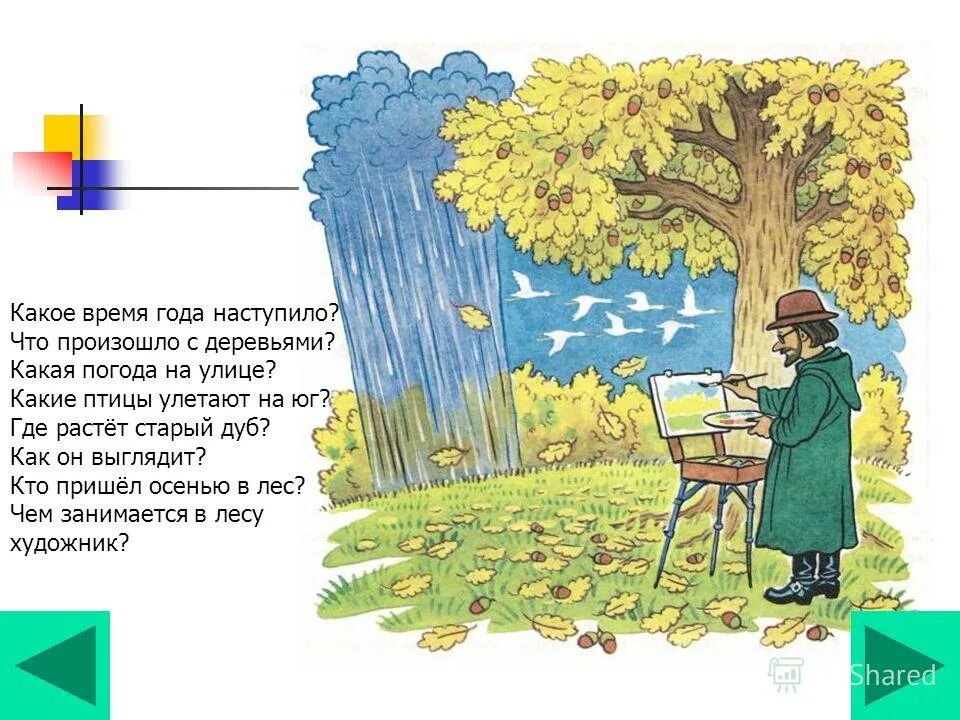 Составить два предложения как выглядит дуб осенью. Научное описание дуб. Описание осеннего дуба. Презентация деревья осенью. Дуб осенью описание.