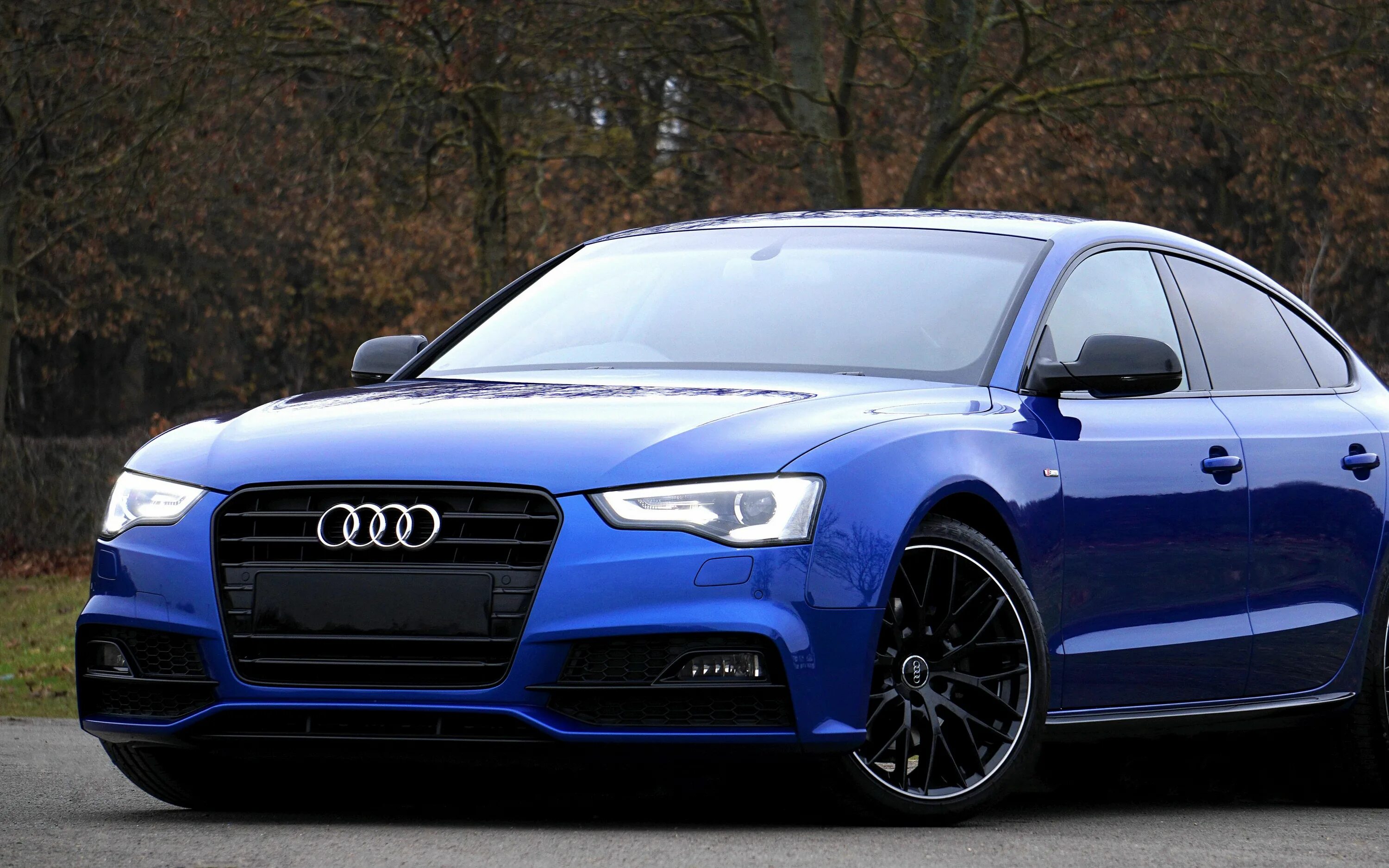 А6 синий. Audi a5 синяя. Ауди а4 седан синий. Audi s5 синяя. Ауди а5 синий 2031.