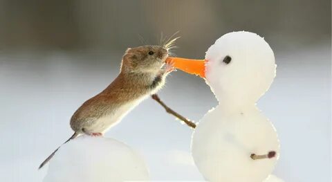 Nibble